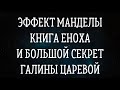 Кто такая Галина Царева на самом деле и чем она занимается