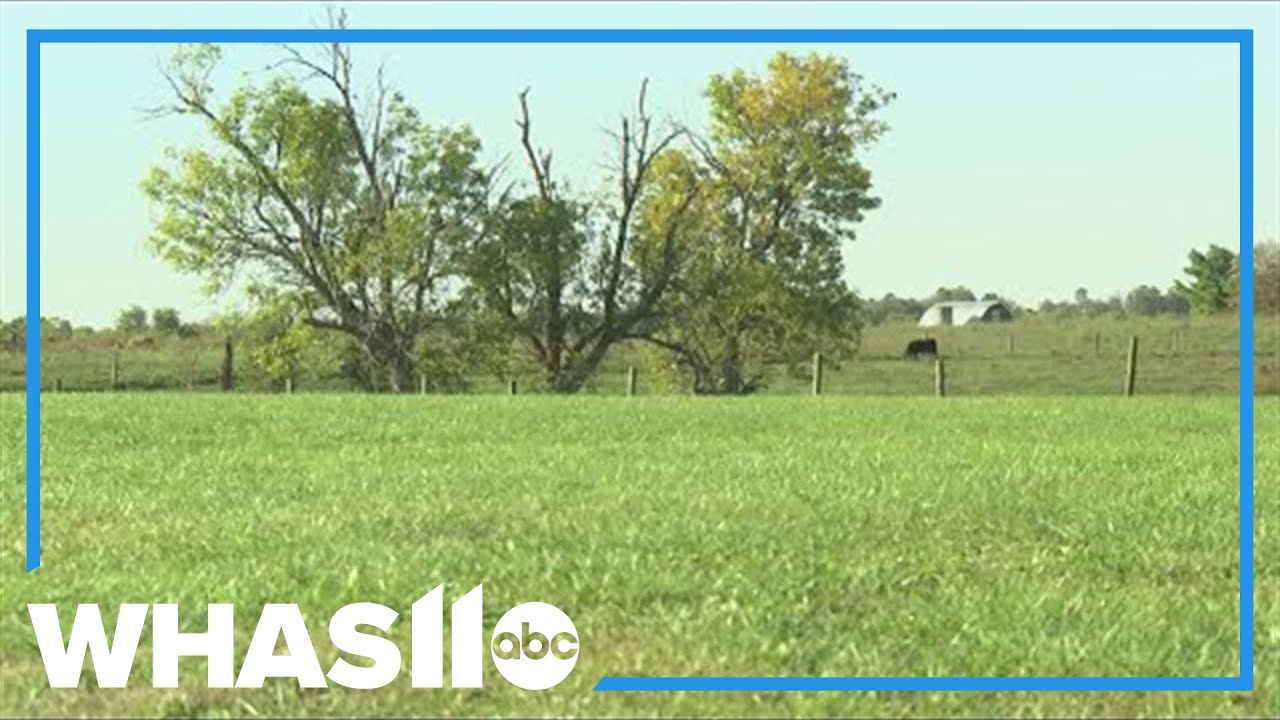 This Kentucky family farm sells ice cream year-round to save their farm and their cows