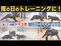 【コーディネーション】ドイツ流 室内コーディネーション − FRAKIDS トレーニング −