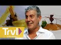 Oneofakind cooking in madrid  anthony bourdain no reservations  travel channel