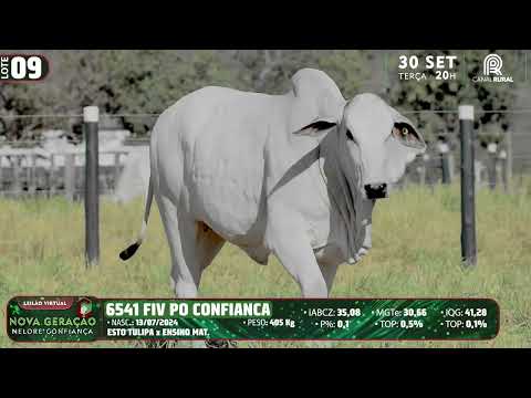 LOTE 09   DVD 6541