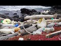 Floating Swarm 2 | “Made in China” trash at the Galapagos Islands