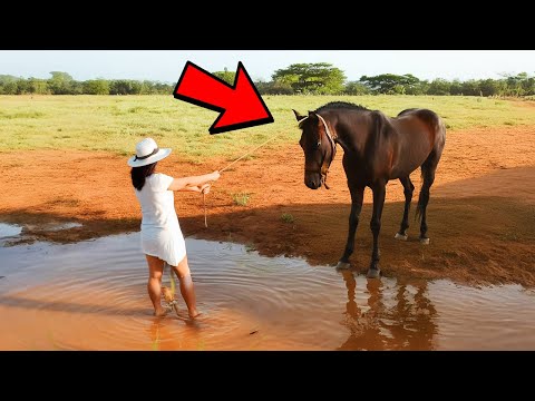 Her Horses Refused To Drink From This Pond. She Drained It And Discovered A Deadly Secret.