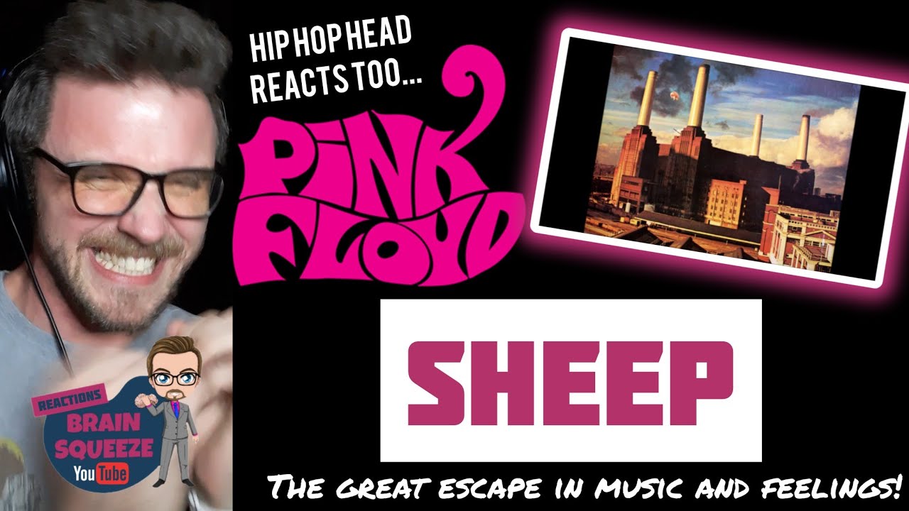 PINK FLOYD - SHEEP (UK Reaction) | THE GREAT ESCAPE IN MUSIC AND FEELINGS!
