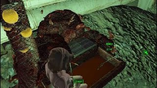 Fallout 4. Raider Hygiene.