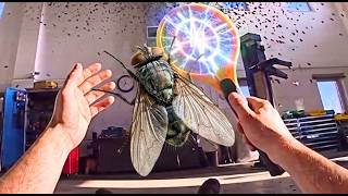 Pov Swatting A Fly