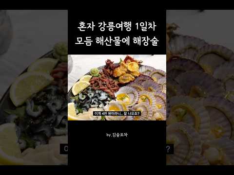 강릉에서 해산물에 혼술 즐기기