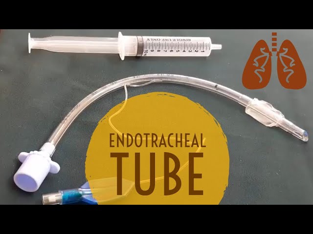 Endotracheal Tube Parts 987x644
