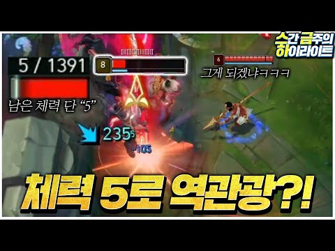 체력5로 역관광을 하는 방법..?! 미업로드만 모은 하이라이트! [스금하 217화]