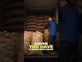 Fresh Ginger Export Documents Checklist 2026 | IEC, APEDA, Phytosanitary Explained Export from India