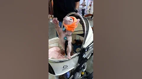 Watch the video about Lovely Sphynx Cat @Impact Cat Show