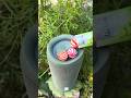 QCY speaker bass test with mix colour Ball chocolate jumping