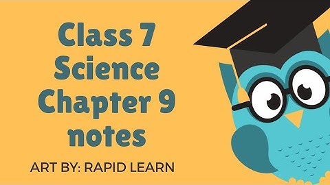 Class 7th Science Chapter 9 Notes { Soil } | Rapid Learn