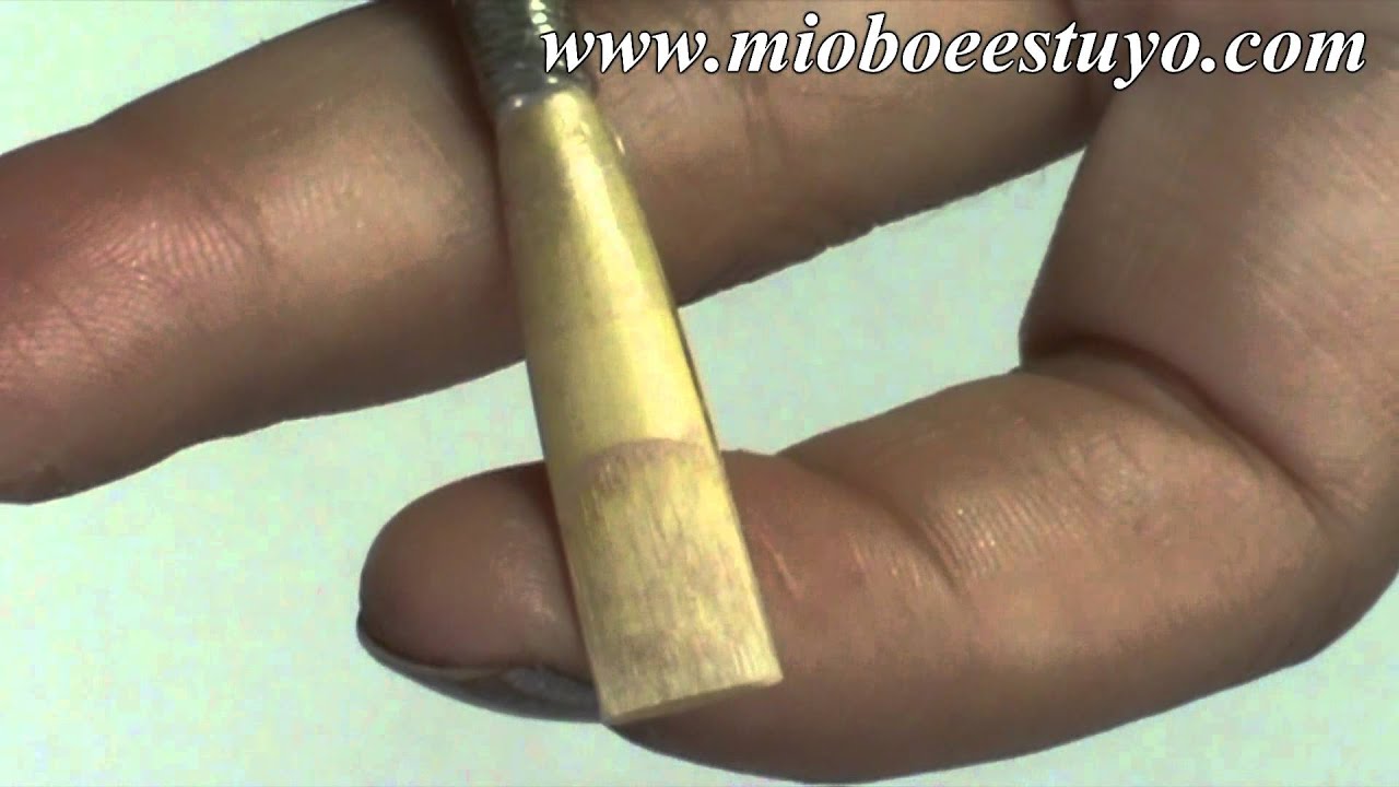 La caña del Oboe (principiantes)