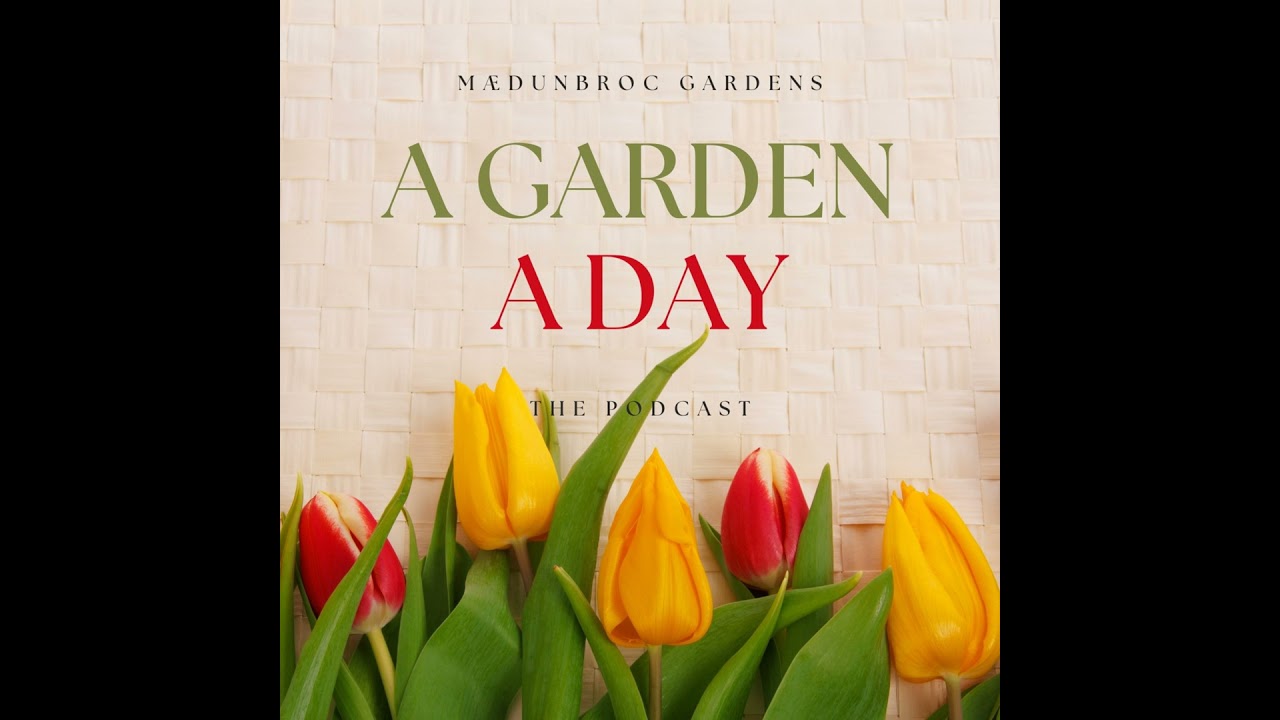 Raymond Vineyards' Theater of Nature, St. Helena, California