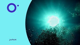 🇯🇵 Investigating changes in the world’s oceans with the biogeochemical Argo float #OneOceanScience