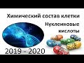 3. Нуклеиновые кислоты (9 или 10-11 класс) - биология, подготовка к ЕГЭ и ОГЭ 2020