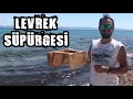 Levrek Süpürgesi Nasıl Yapılır? Levrek Balığı Yakalama Yolları