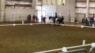 OHSET meet #2 2020 dressage