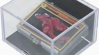 Pokemon-shaped Cheeto, Cheetozard, sells at auction for $87,840