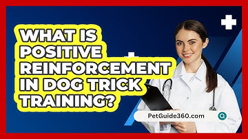 What Is Positive Reinforcement In Dog Trick Training? - PetGuide360.com