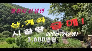 (No675) 계곡물 흐르는 산아래 시골땅 양봉하던 자리 급매!