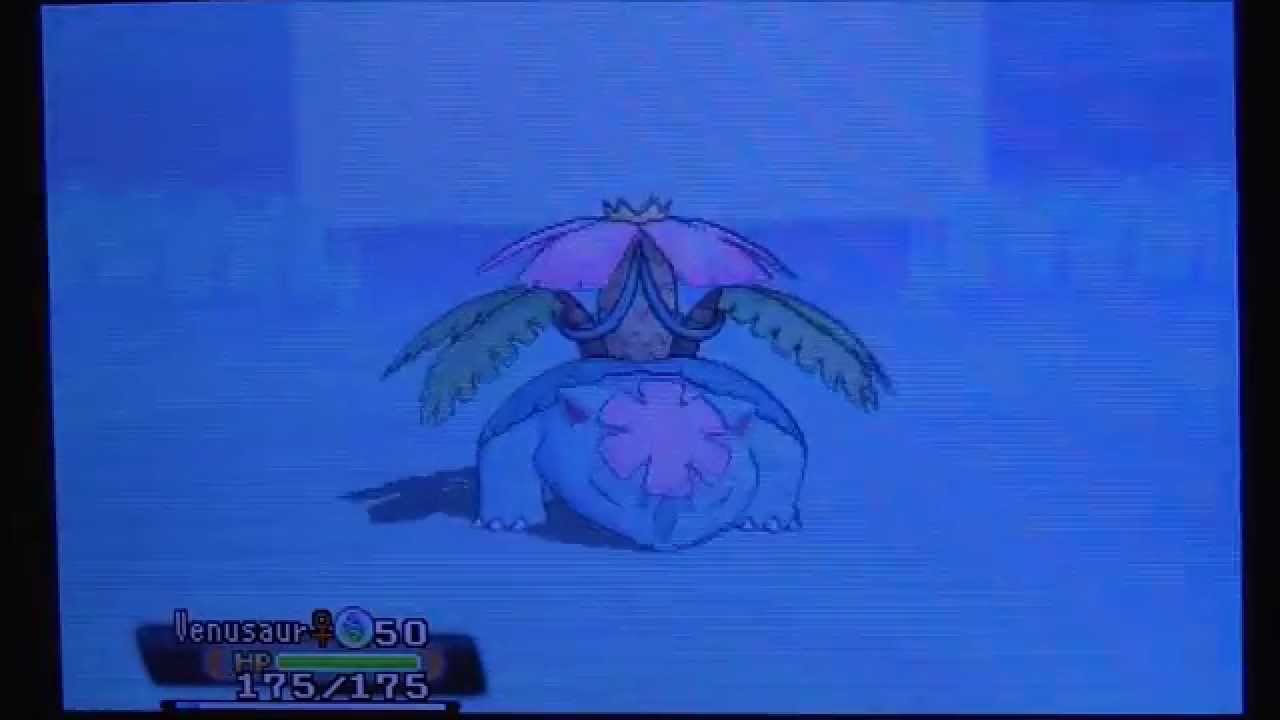 Mega Venusaur Sweep Singles Free Battle