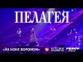 Пелагея - На коне вороном (Live, Владивосток, 01.12.2019)