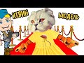 КОШАЧИЙ ПОКАЗ МОД | КЕВИН В МАГАЗИНЕ ВЫБИРАЕТ НАРЯДЫ | С КОТОМ ВХОД РАЗРЕШЕН!