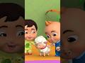 Mary Had A Little Lamb #shorts #sheep #kidssongs #video #boombuddies