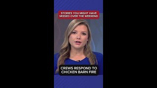 Stories you might’ve missed over the weekend