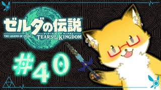 #40【ゼルダの伝説　ティアーズ オブ ザ キングダム】クリア後の世界を駄弁りながらまったり旅する【ちゅうけんぽちこう】