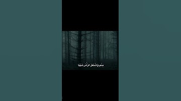 قَالَ رَبِّ إِنِّي وَهَنَ الْعَظْمُ مِنِّي | محمد صديق المنشاوي | سورة مريم
