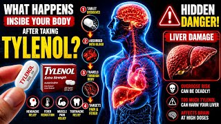 What Really Happens Inside Your Body After Taking Tylenol