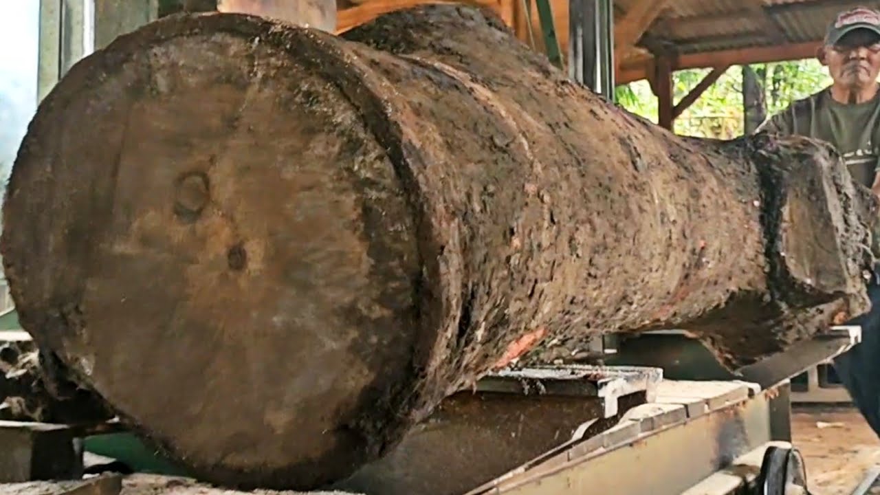 irregular shape of old red tree trunk full of bumps in sawmill 