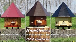 Bumblebee Hive - Bumblebee Nest Box | Breeding and Rearing of Bumblebees | Polish Bumblebee