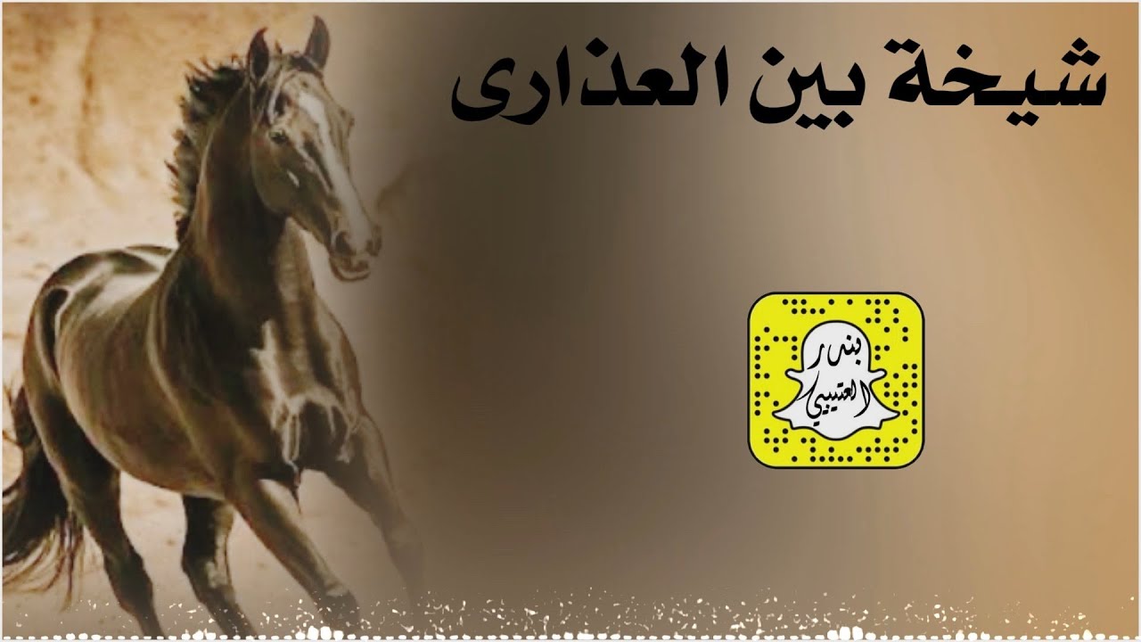 شيخة بين العذارى اداء ماجد الرحيمي 2025 حصرياً