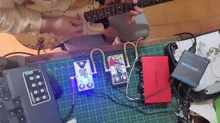 Pedal Pawn Fuzz test