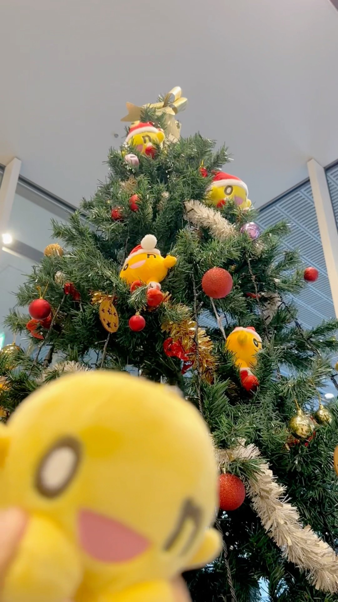 ぬい撮り、ぬいぐるみ旅行!　貴方の大切な可愛い相棒に♬ ぬい撮り、ぬいぐるみ旅行! 貴方の大切な可愛い相棒に♬