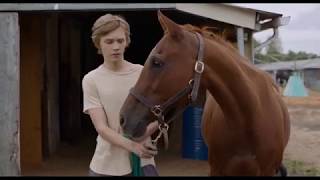 Famous Lean on Pete Official Trailer #1 (2018) Steve Buscemi, Charlie Plummer Drama Movie HD Profile