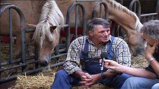 Stalhouderij Part 1 2004