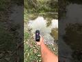 JBL testing 💦 water testing #viral