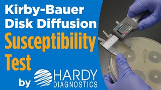 How to do a KirbyBauer Disk Diffusion Antimicrobial Susceptibility Test