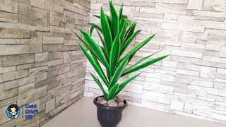 Cara Membuat Tanaman Hias Spider Plant dari Plastik Kresek  [ Its Beautifull ]