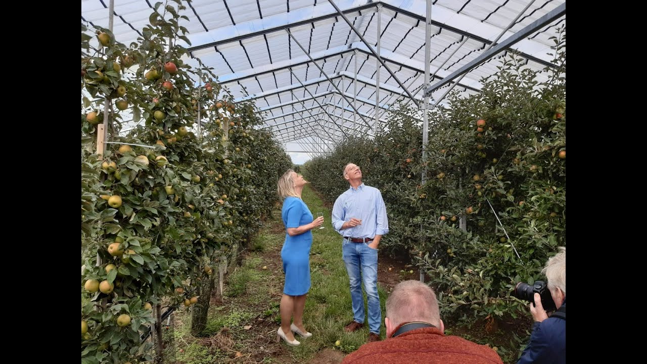 Strategies to increase productivity and quality of apple crop in unconventional growing areas