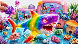 ASMR Satisfying Unboxing Rainbow Shark Aquarium TV Fish Tank Robo Alive Toys🦈🌈Aqua Toys ASMR