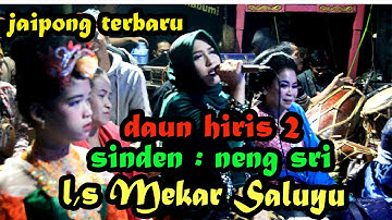 JAIPONG | DAUN HIRIS 2 | SINDEN NENG SRI | L,S MEKAR SALUYU | LIVE SHOW CIKANCING | SIRNARASA | 2022