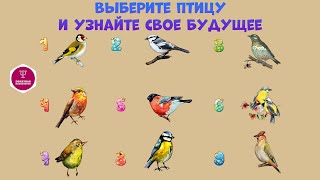 Выберите птицу и узнайте своё будущее уже сейчас! Тесты. Психология