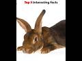 Top 5 Interesting facts | Amazing facts | Random facts #shorts #facts