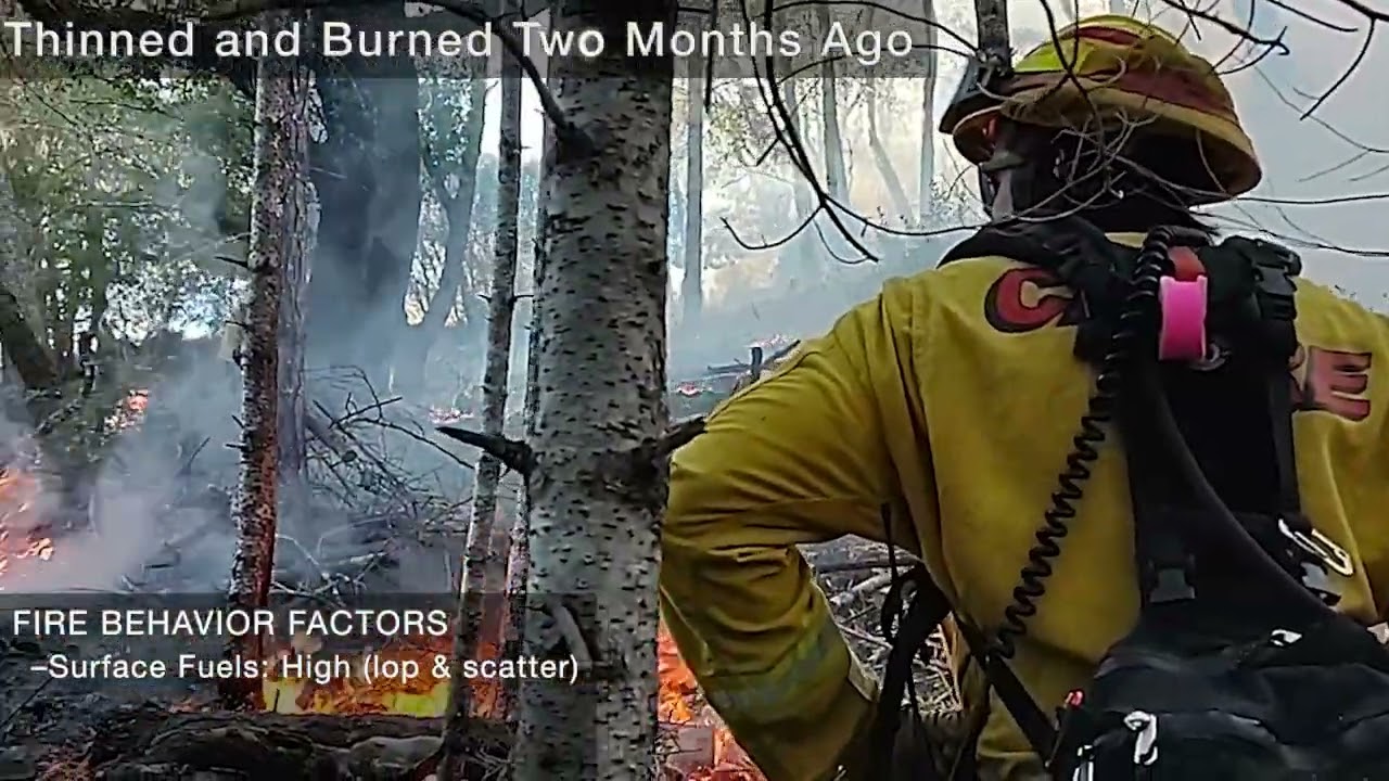RxBurn: Recent Burn, Site Burned Two Months Ago - Andres Avila